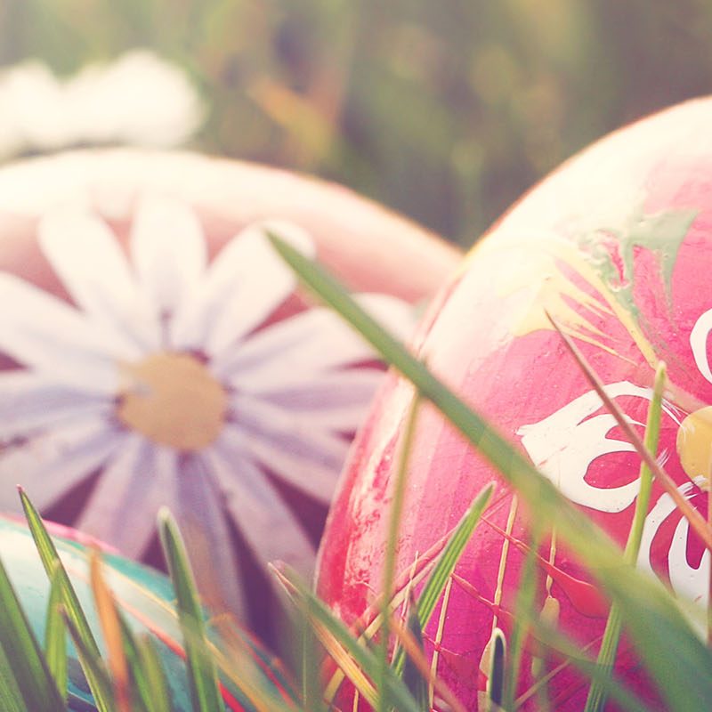Easter Eggs nestling in grass