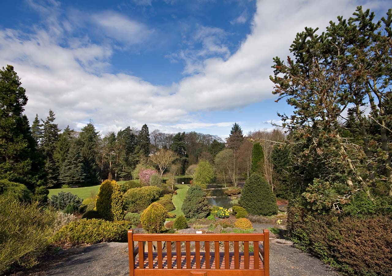 St Andrews Botanic Gardens in Scotland with a bench overlooking them