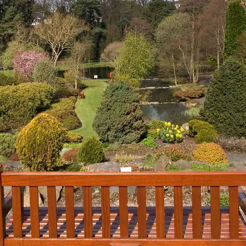 A bench looking over the gardens at St Andrews Botanic Gardens in Scotland
