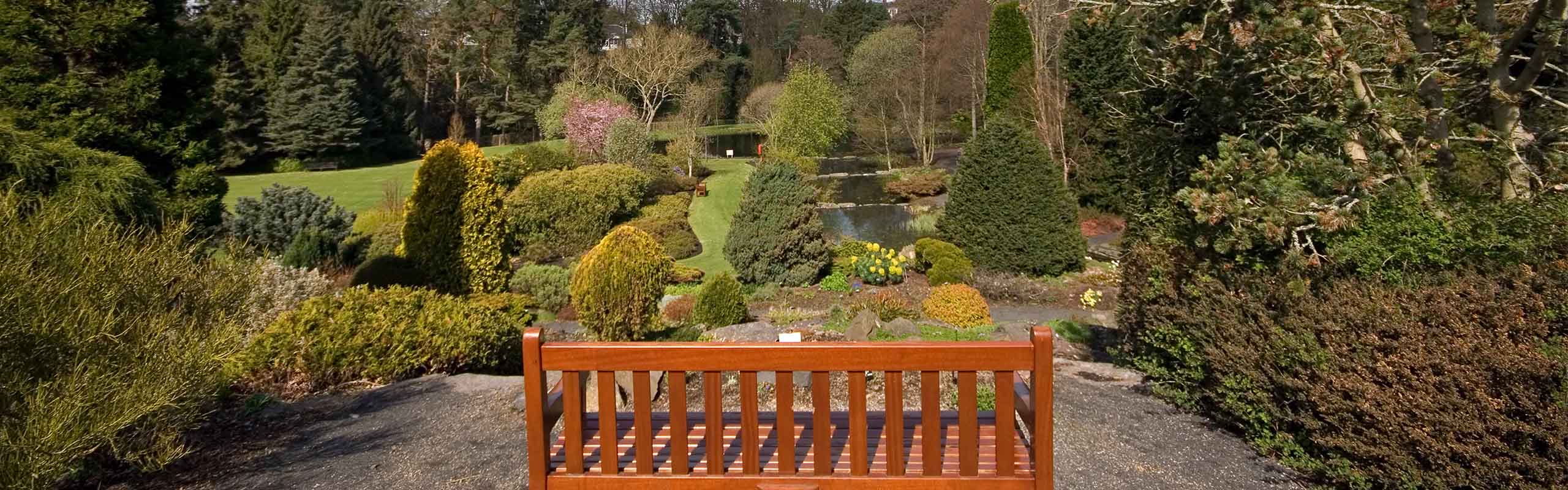 A bench looking over the gardens at St Andrews Botanic Gardens in Scotland