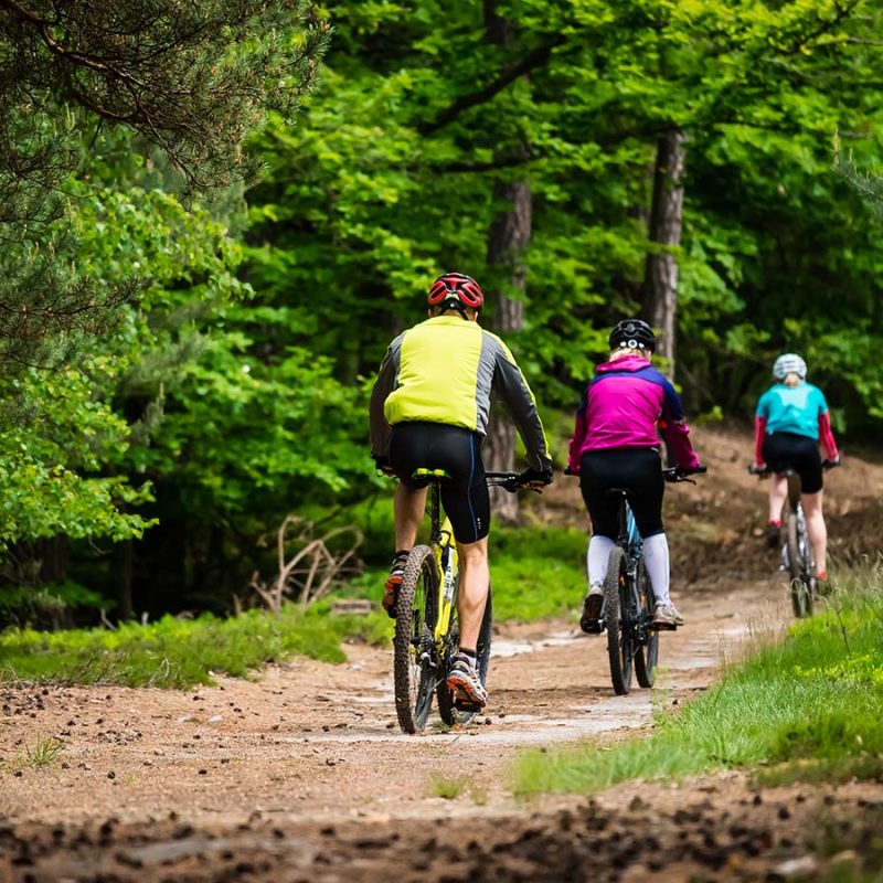 A group of people cycling through woodland