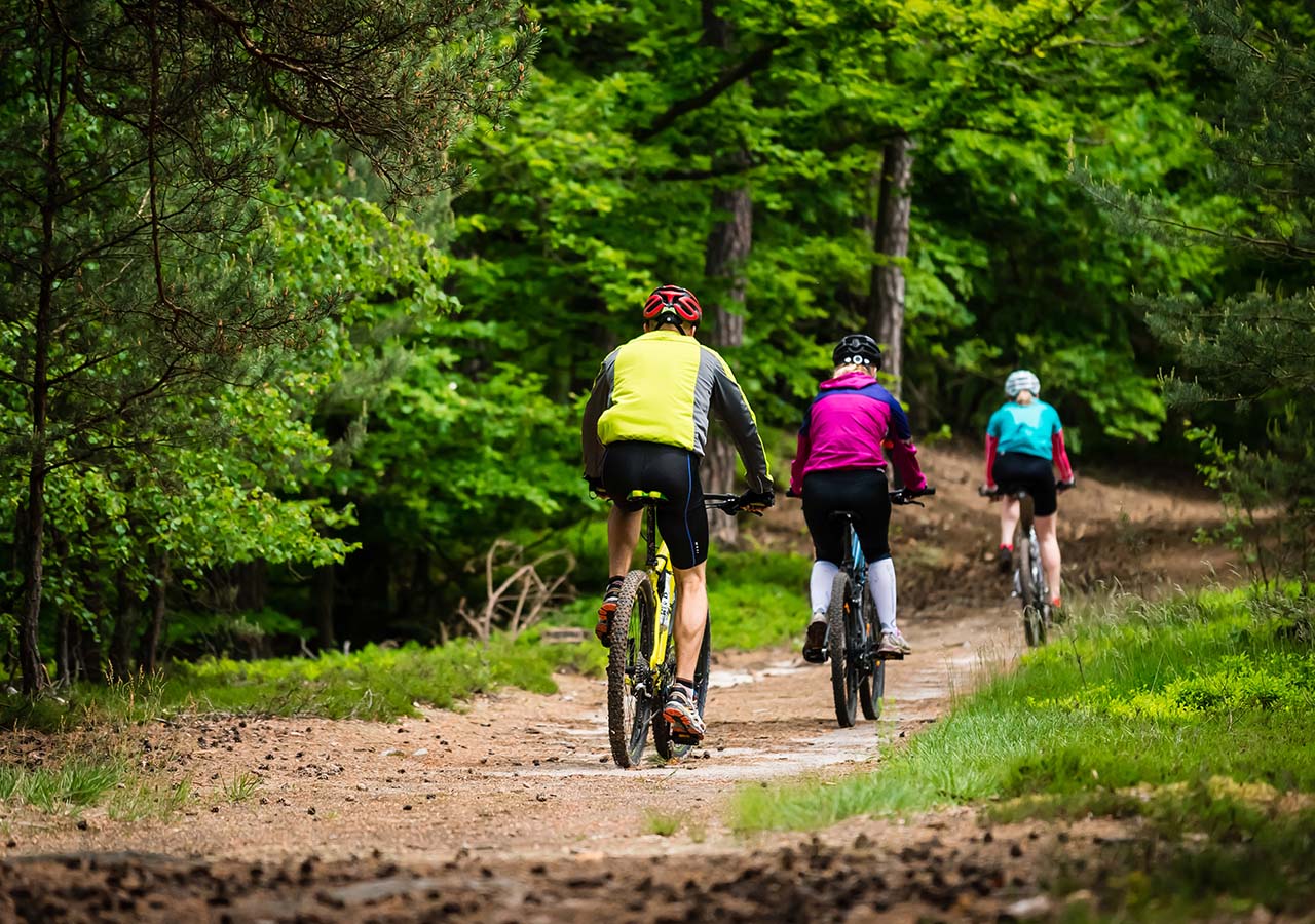A group of people cycling through woodland