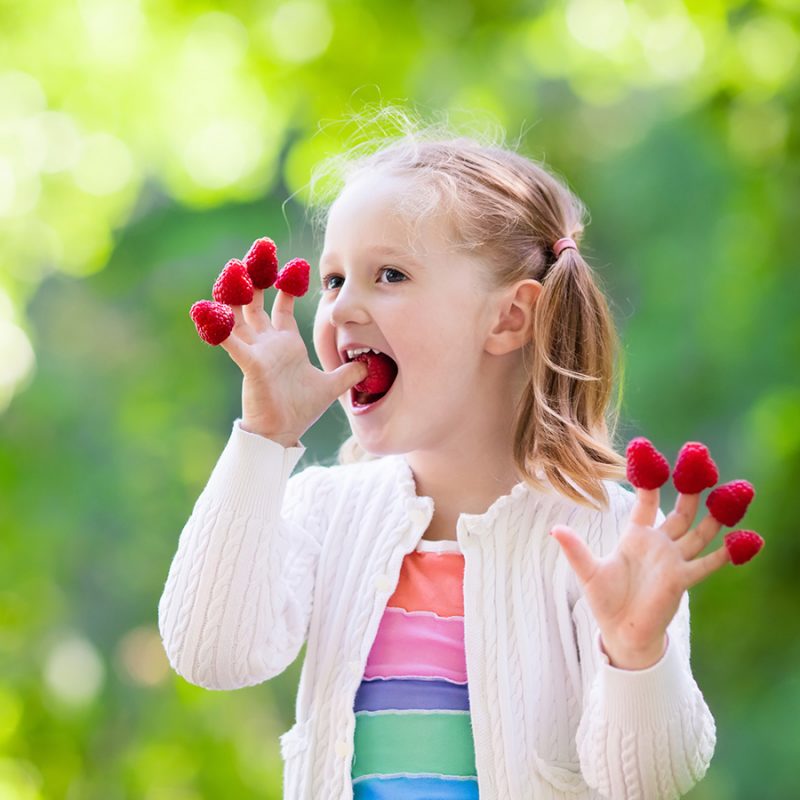 A little girl with a raspberry on each finger about to eat one of them while fruit picking