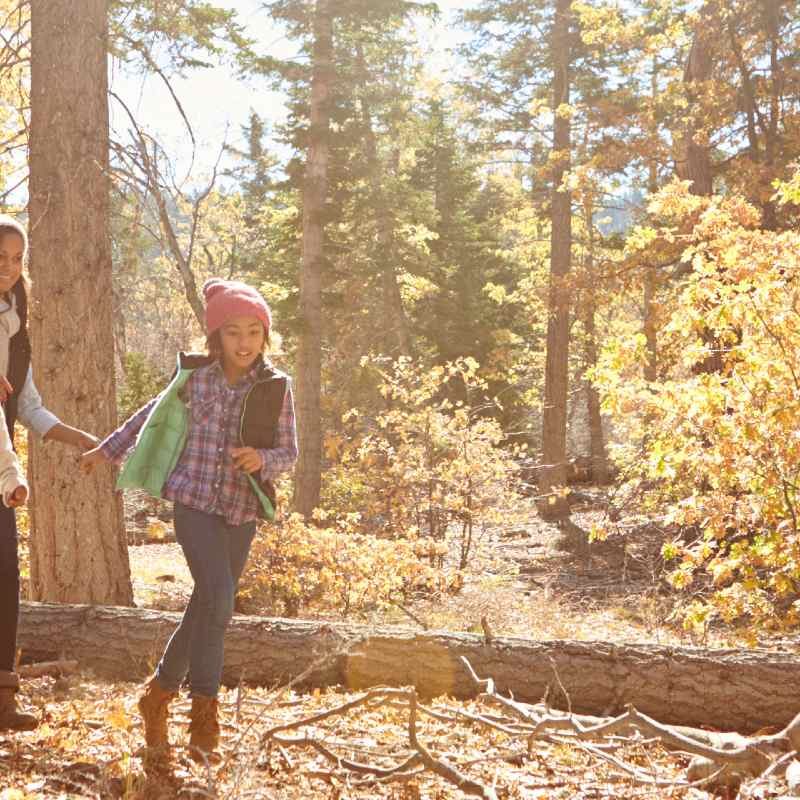 Family walk in the woods