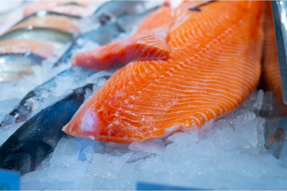 Organic wild scottish red fish salmon cleaned on ice
