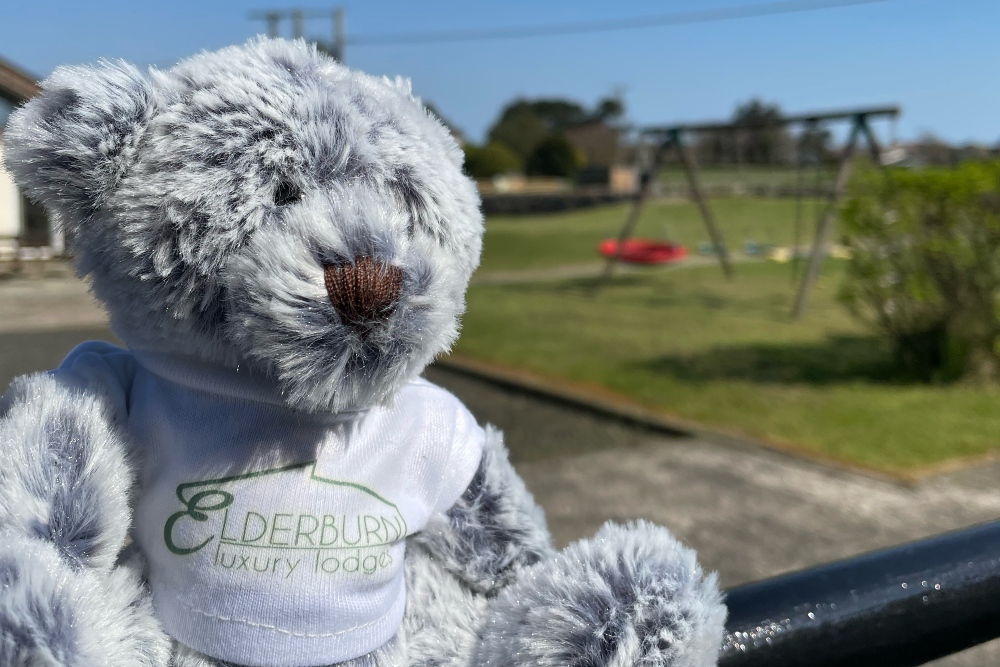 Free Elderburn teddy at the park on site