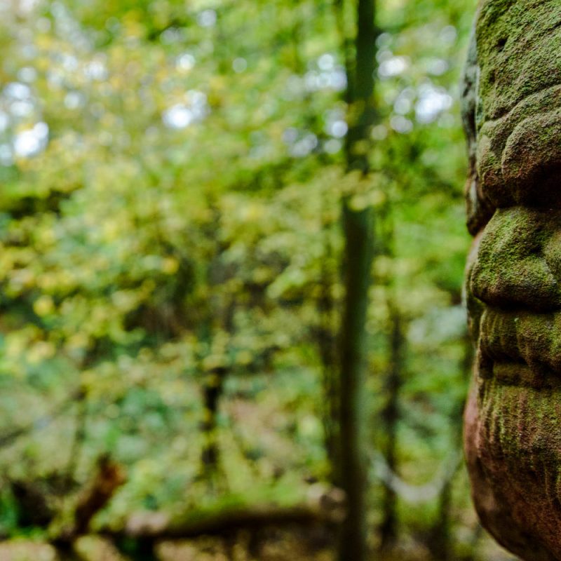 Face carved into rock at Dunino Den near St Andrews