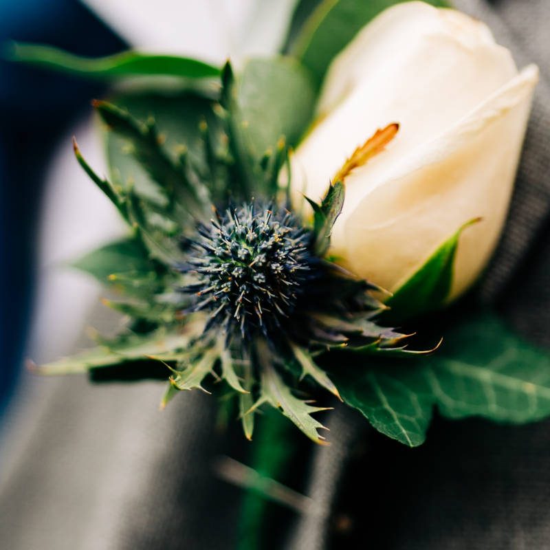 Close up of wedding buttonhole with rose and thistle