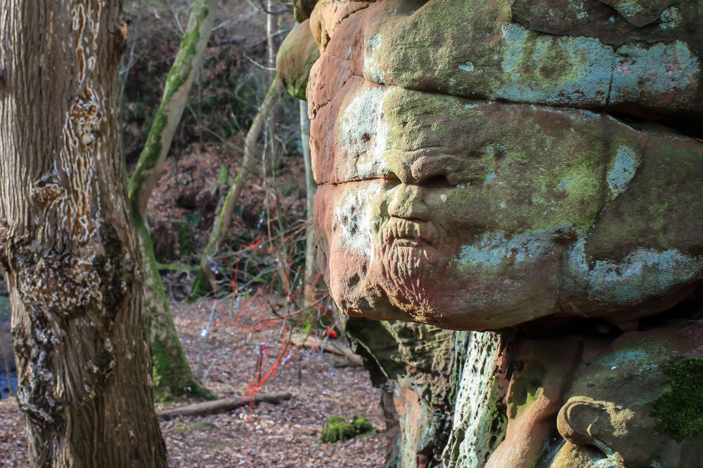 Carved face in a rock at Dunino Den